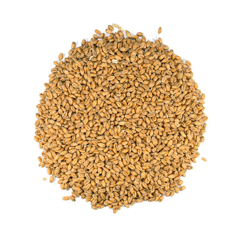 Wheat Malt MD Dingemans